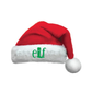 ELF Santa Hat