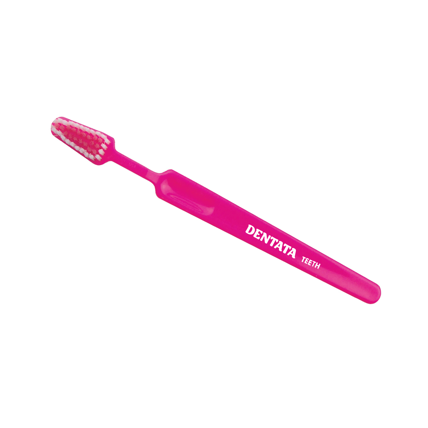 TEETH Dentata Toothbrush