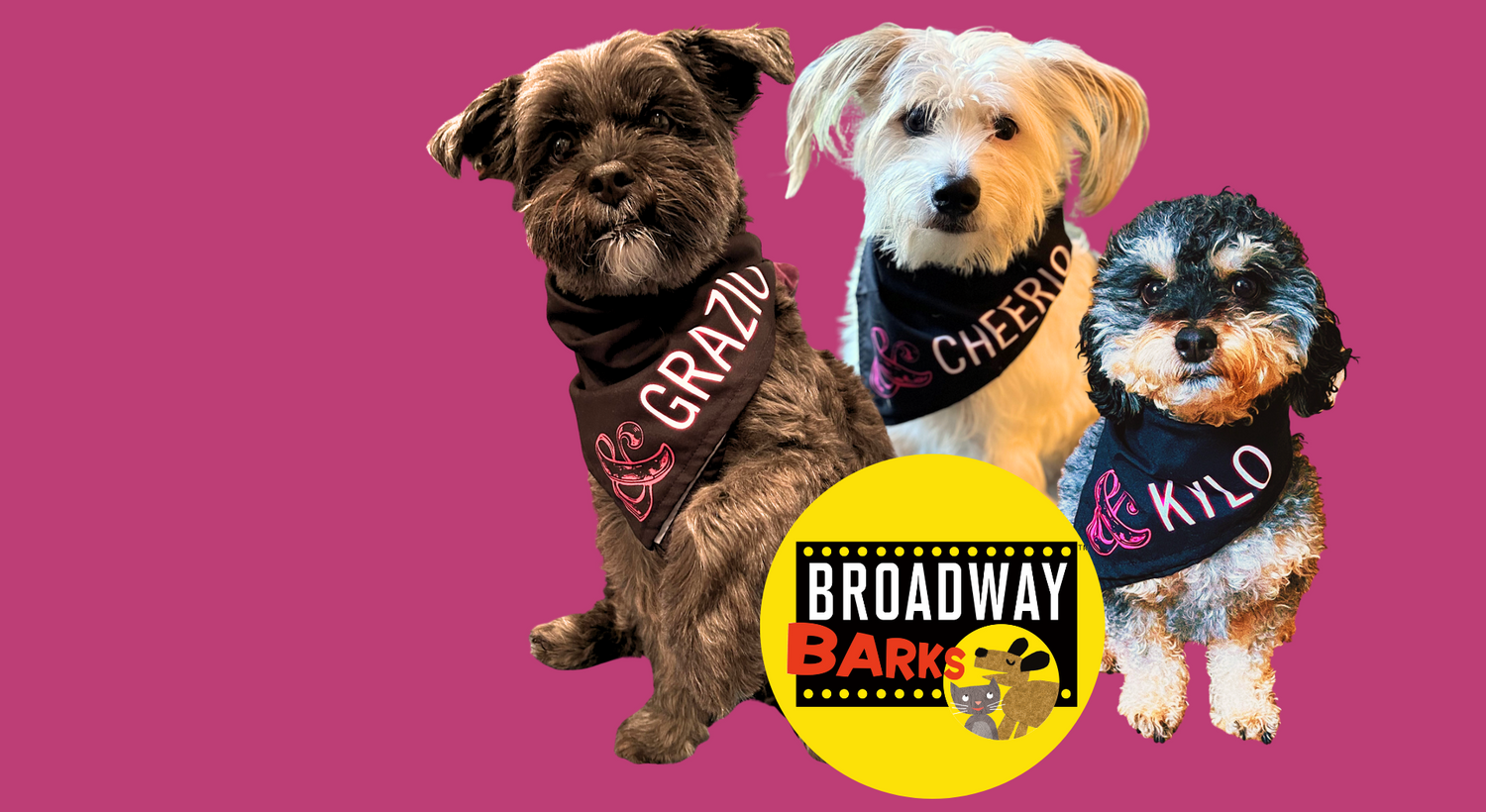 Broadway Merchandise Shop by Creative Goods